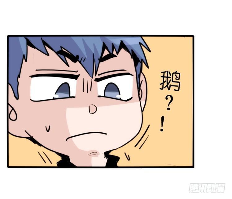 家有鹅霸：命运的邂逅-第50话