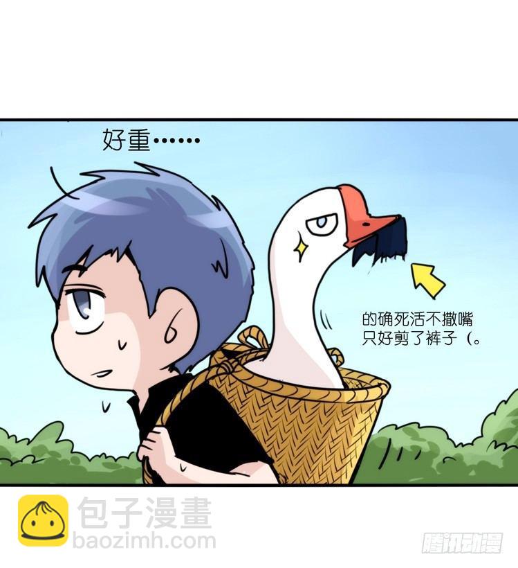 家有鹅霸：命运的邂逅-第50话