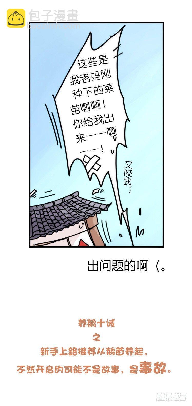 家有鹅霸：命运的邂逅-第50话