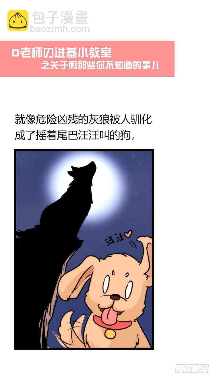 家有鹅霸：命运的邂逅-第50话