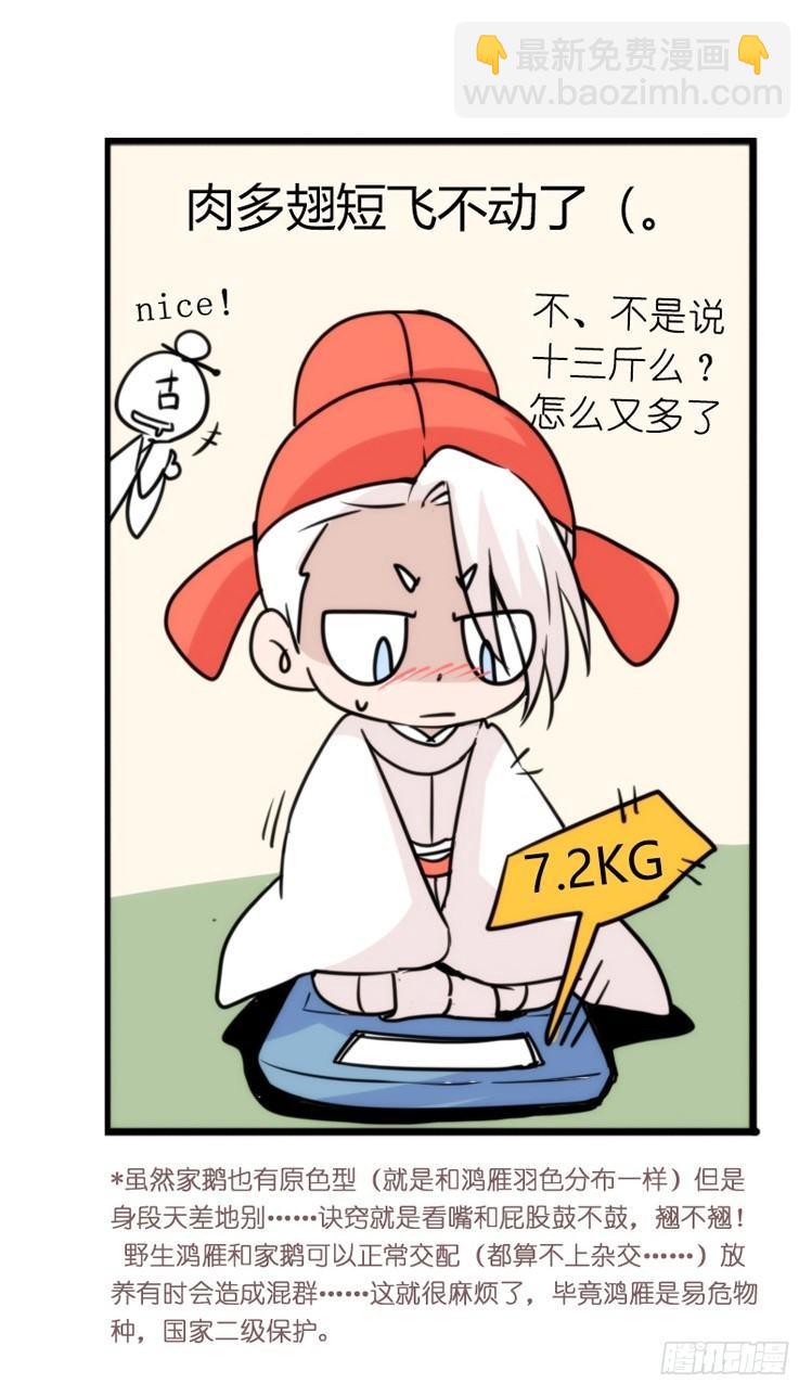 家有鹅霸：命运的邂逅-第50话