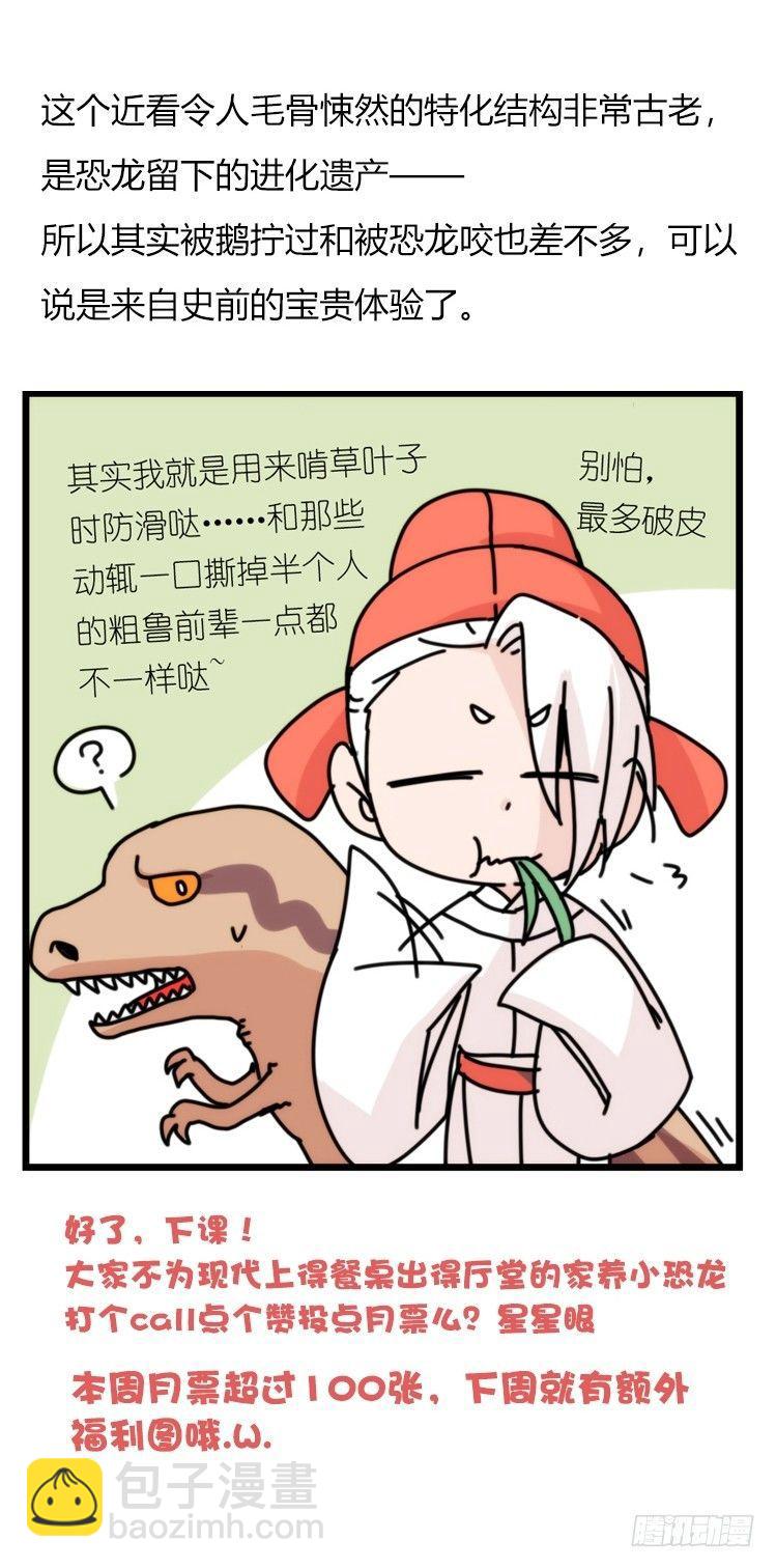 家有鹅霸：命运的邂逅-第50话