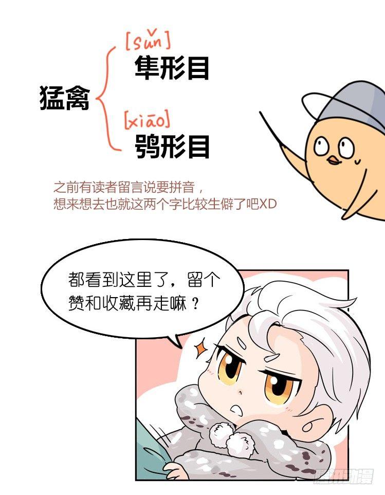 飞吧小少爷：网红风波&middot;下-第6话