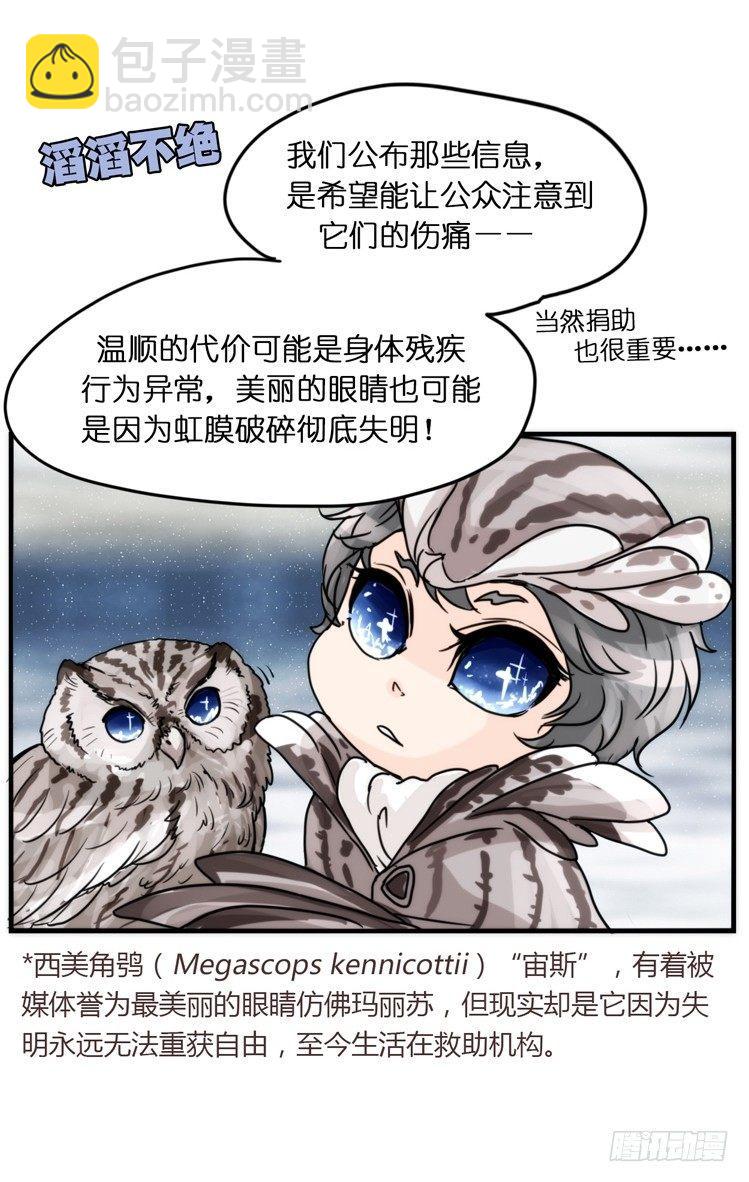 飞吧小少爷：网红风波&middot;下-第6话