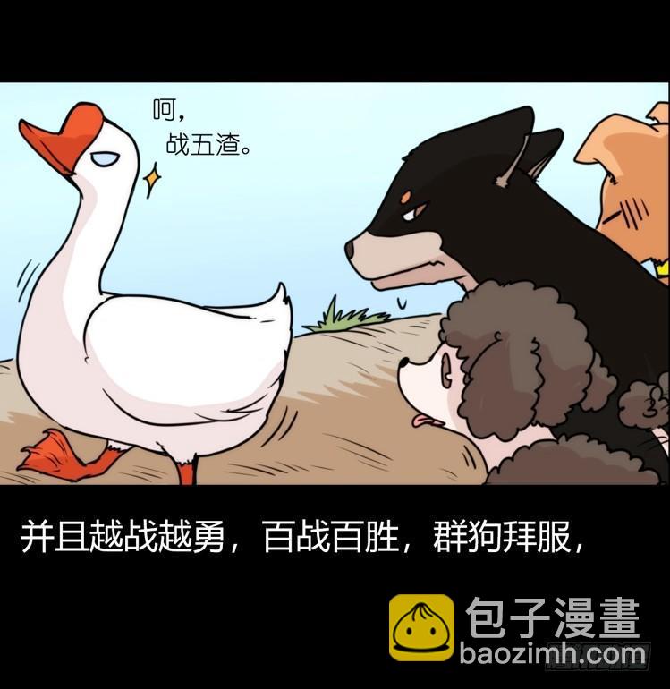 家有鹅霸：鹅霸是怎么练成的-第52话
