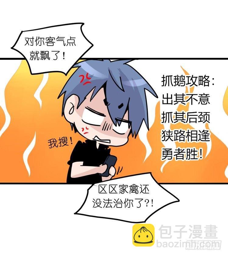家有鹅霸：鹅霸是怎么练成的-第52话