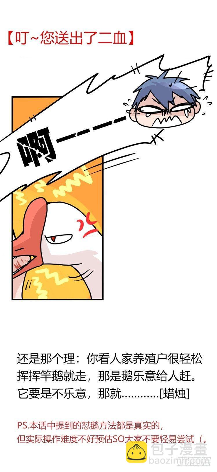 家有鹅霸：鹅霸是怎么练成的-第52话