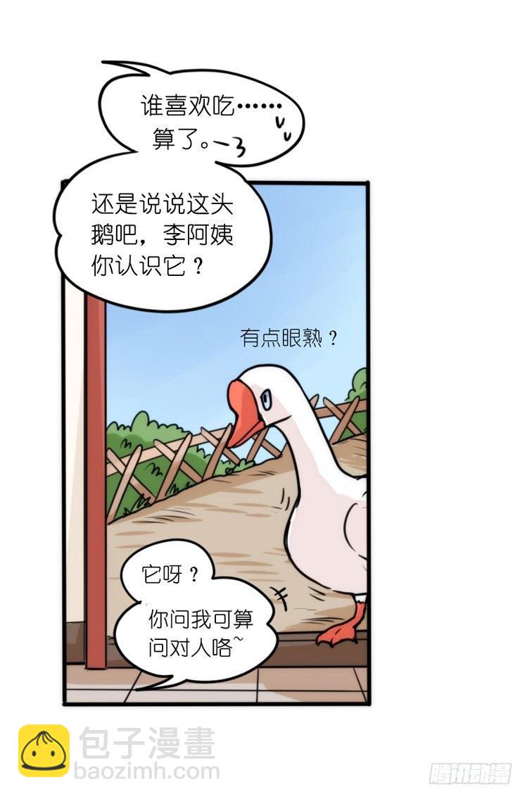 家有鹅霸：鹅霸是怎么练成的-第52话