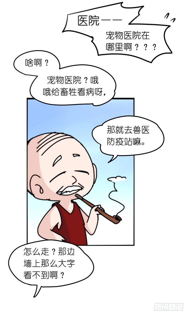 家有鹅霸：最难走的套路-第54话