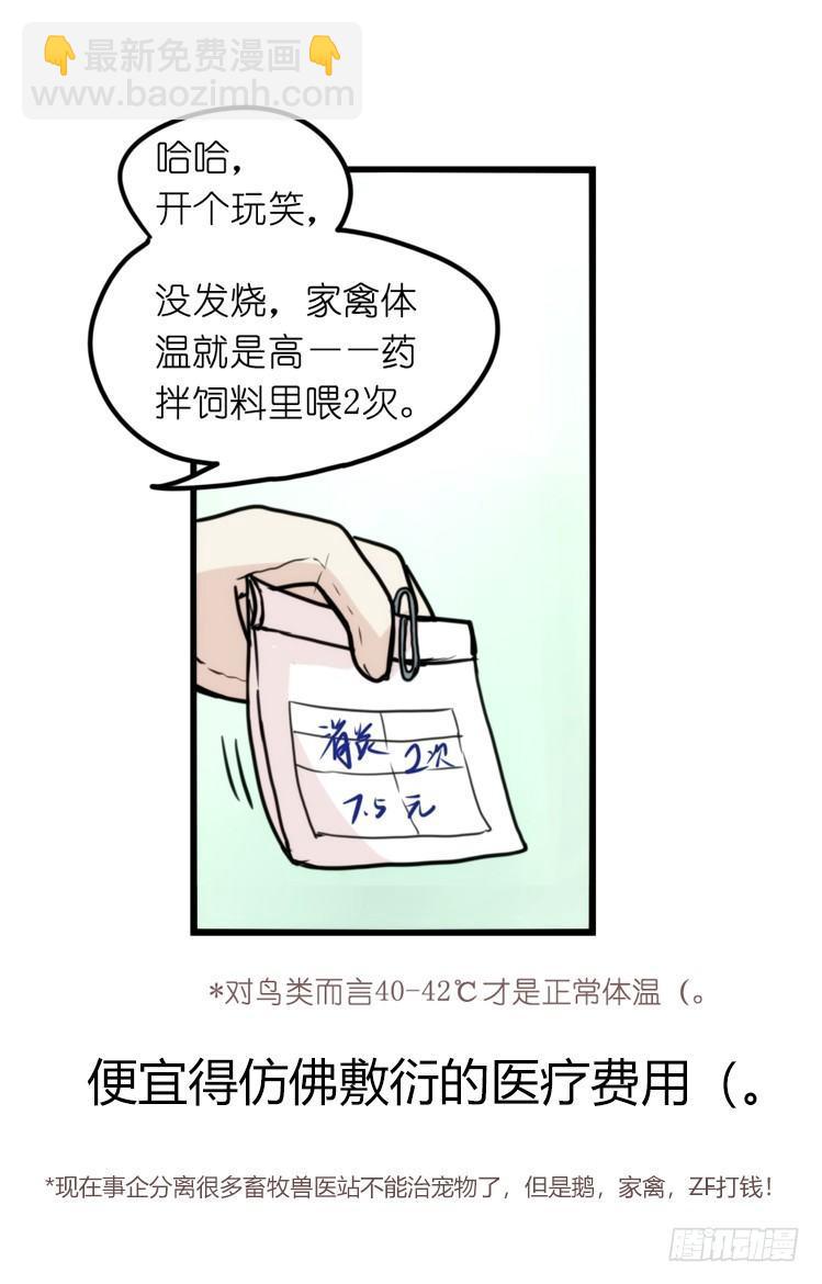 家有鹅霸：最难走的套路-第54话