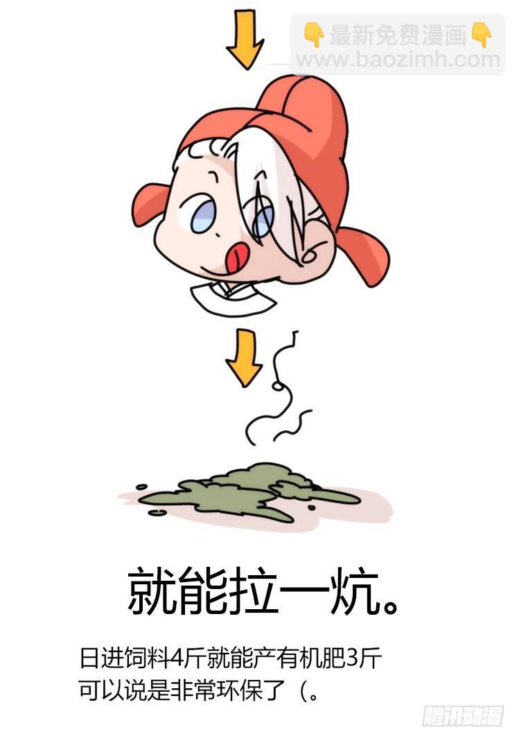 家有鹅霸：最难走的套路-第54话