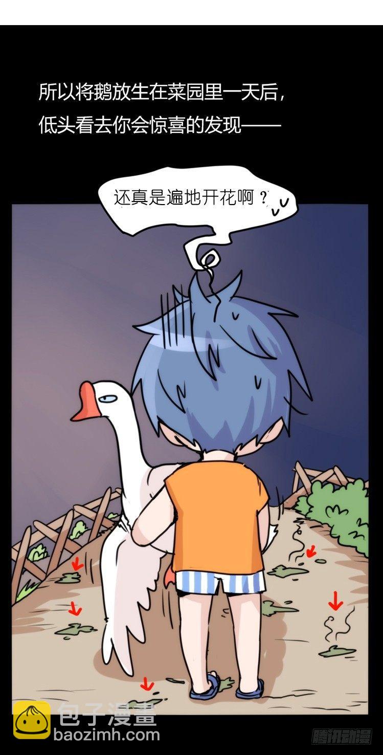 家有鹅霸：最难走的套路-第54话