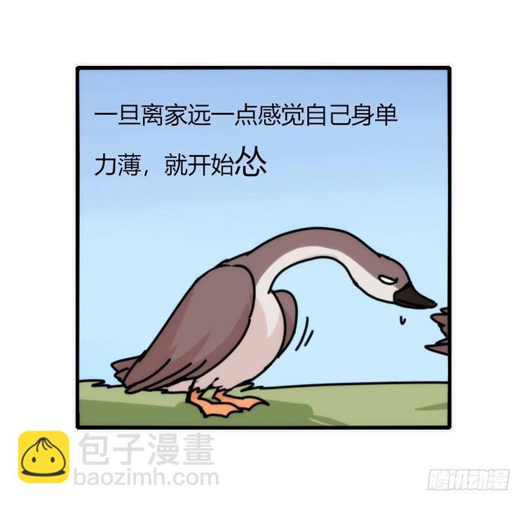 家有鹅霸：人假鹅威是种什么体验-第56话
