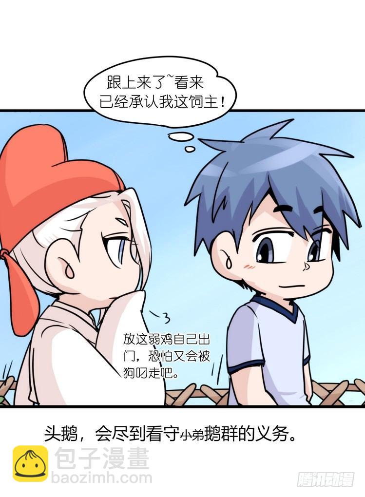 家有鹅霸：人假鹅威是种什么体验-第56话