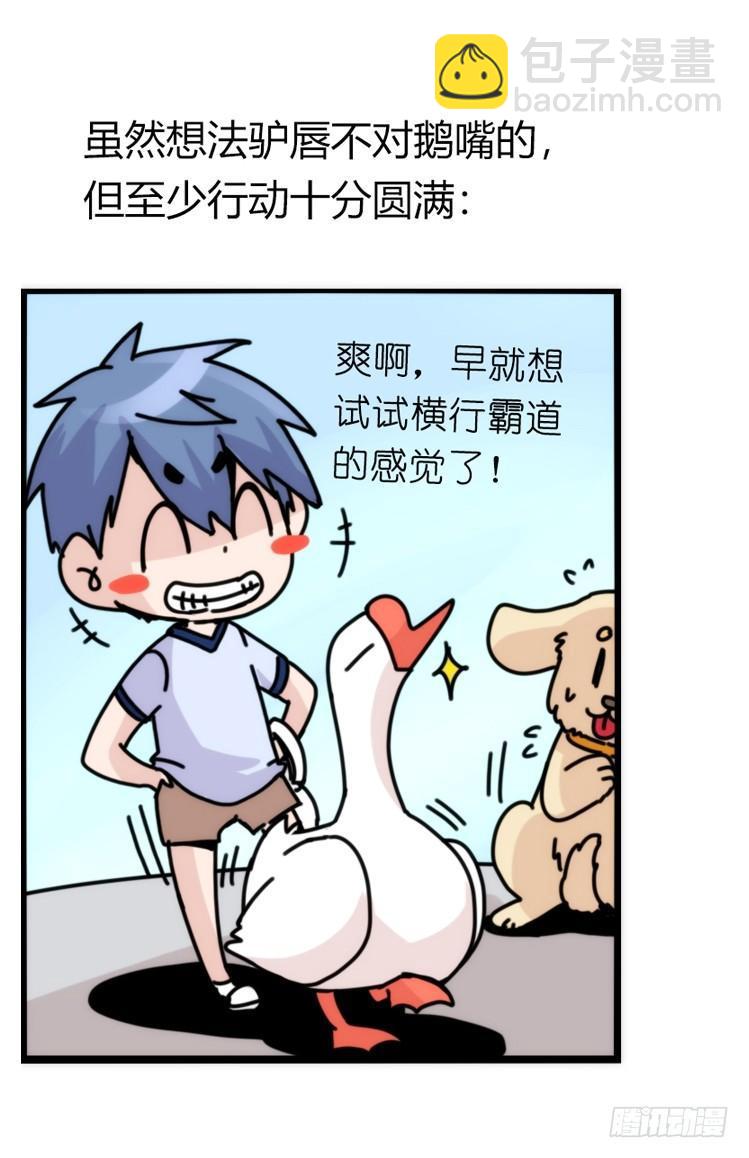 家有鹅霸：人假鹅威是种什么体验-第56话