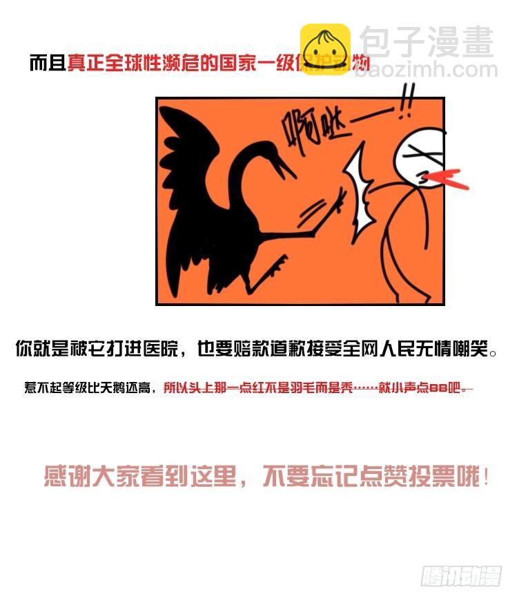 家有鹅霸：人假鹅威是种什么体验-第56话
