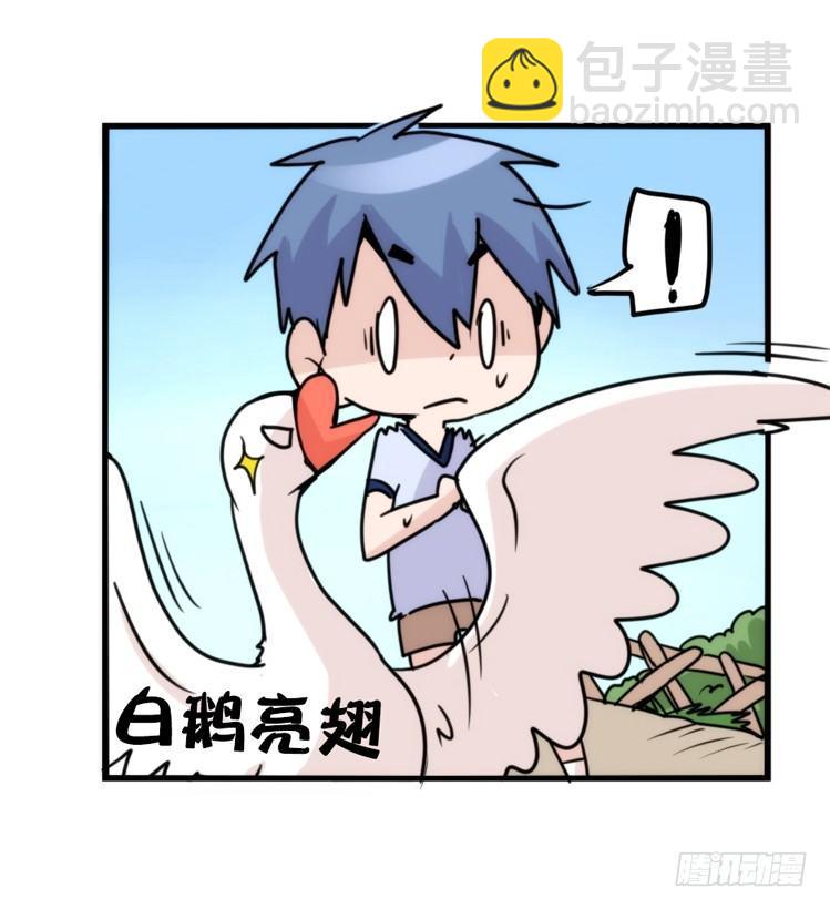 家有鹅霸：人假鹅威是种什么体验-第56话
