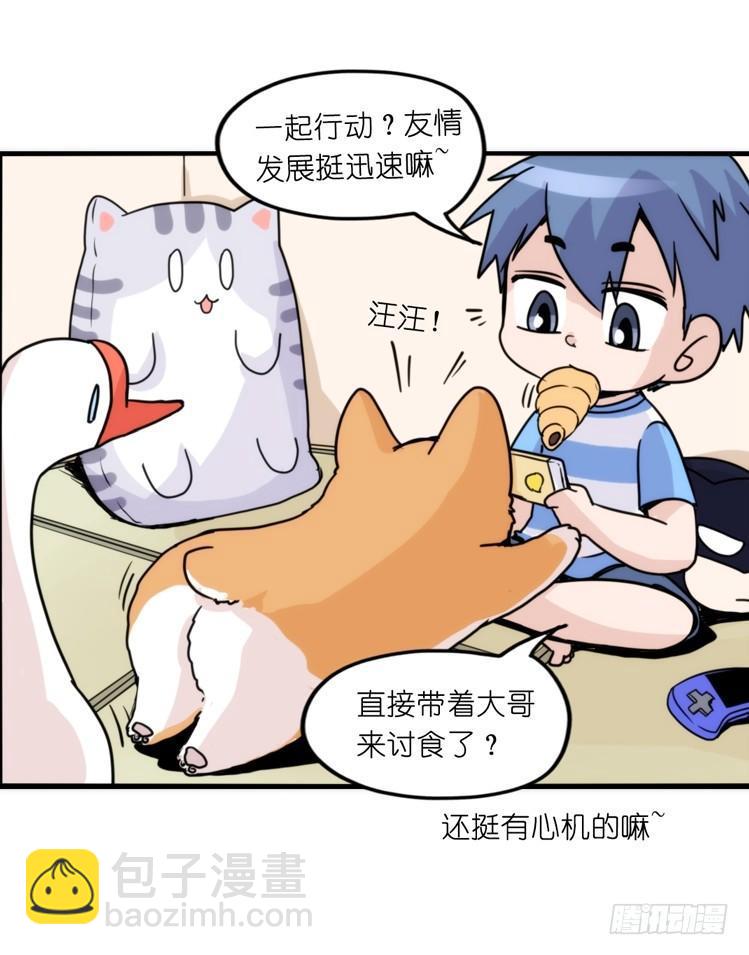 家有鹅霸：万事开头难-第58话