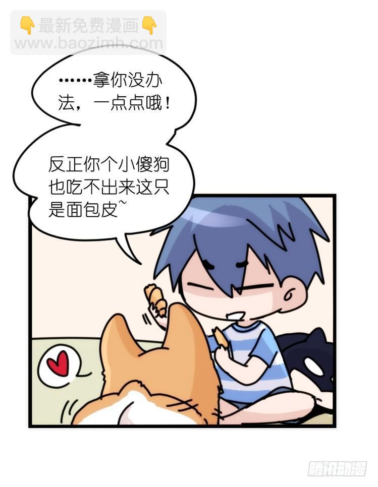 家有鹅霸：万事开头难-第58话