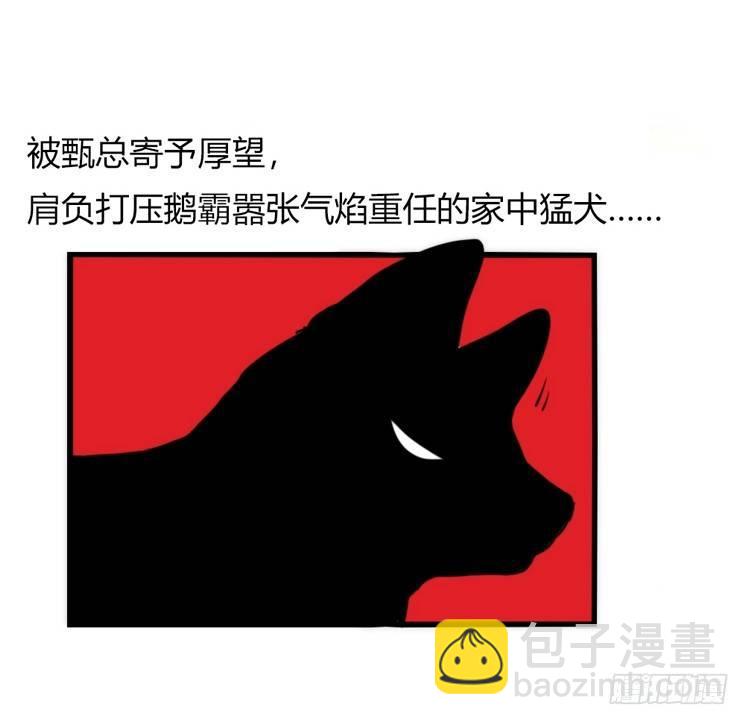 家有鹅霸：万事开头难-第58话