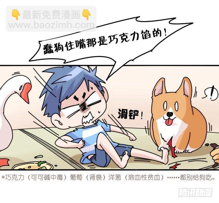 家有鹅霸：万事开头难-第58话