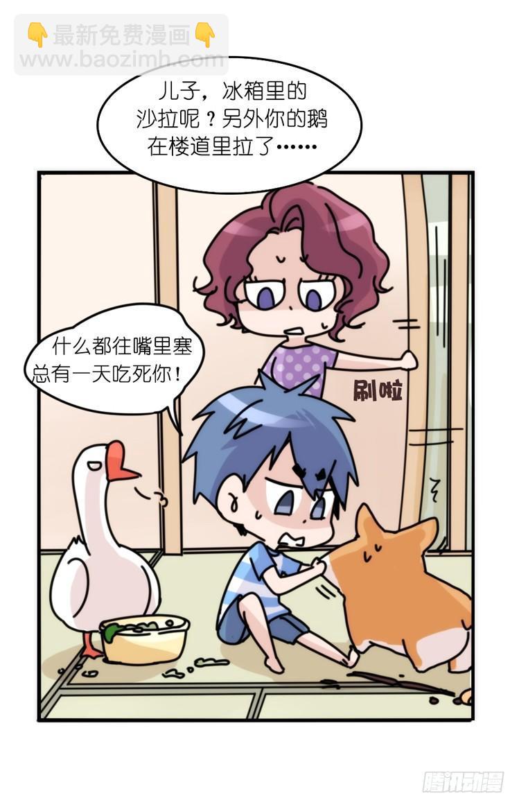 家有鹅霸：万事开头难-第58话