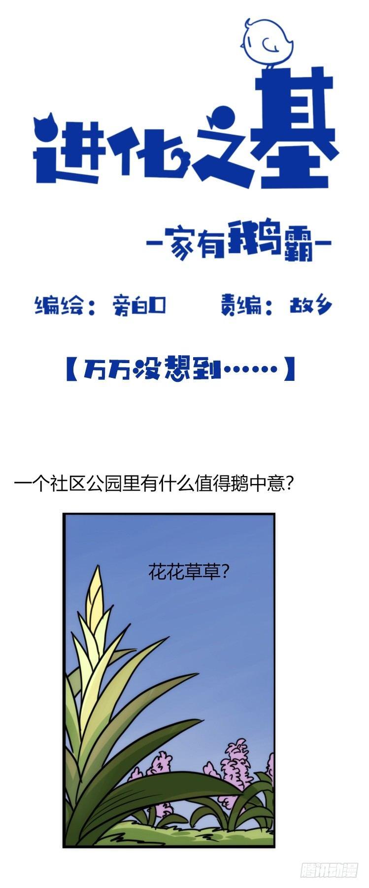 家有鹅霸：意想不到的弱点？-第60话