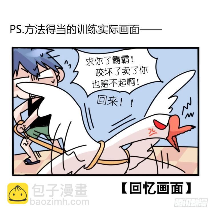 家有鹅霸：和说好的不一样啊！？-第62话