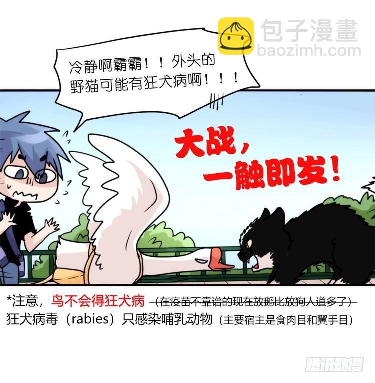 家有鹅霸：和说好的不一样啊！？-第62话