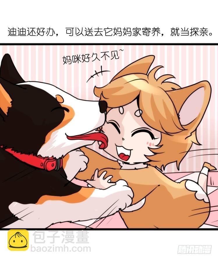 家有鹅霸：加入的理由-第64话
