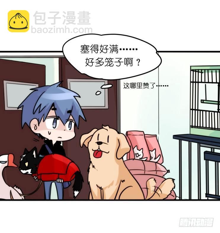 家有鹅霸：加入的理由-第64话
