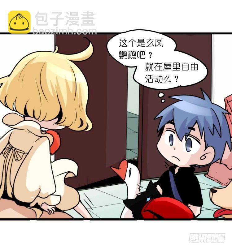 家有鹅霸：加入的理由-第64话