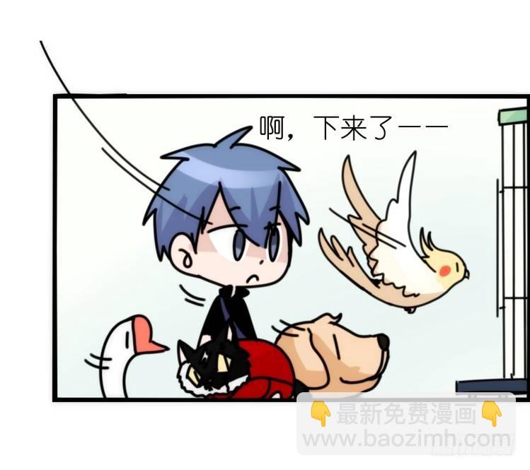 家有鹅霸：加入的理由-第64话