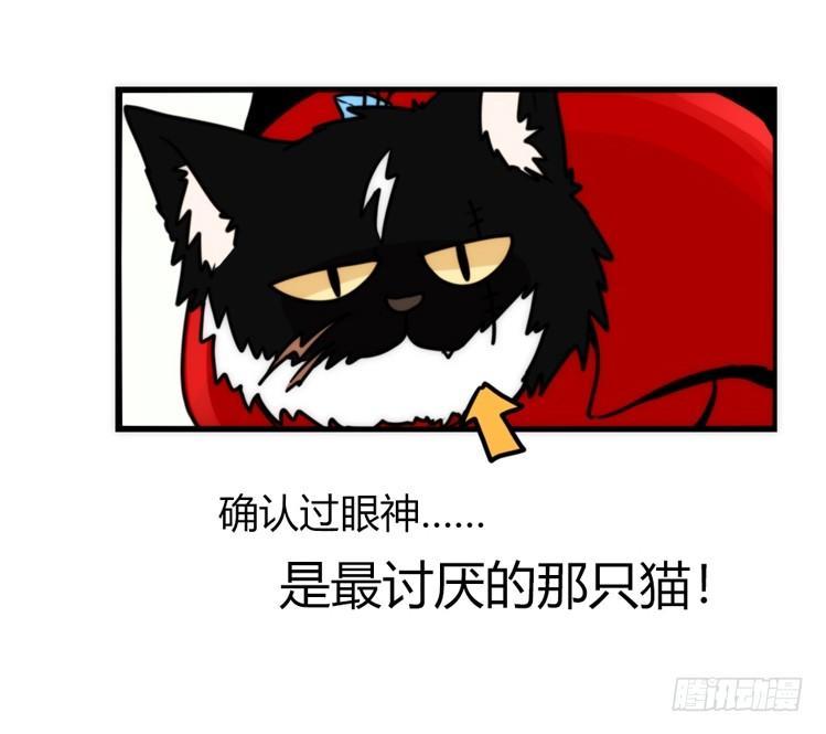 家有鹅霸：加入的理由-第64话