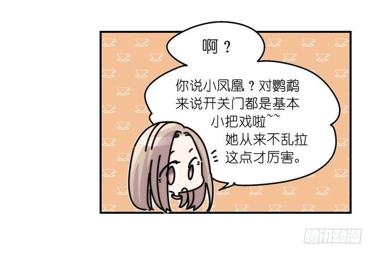 家有鹅霸：加入的理由-第64话