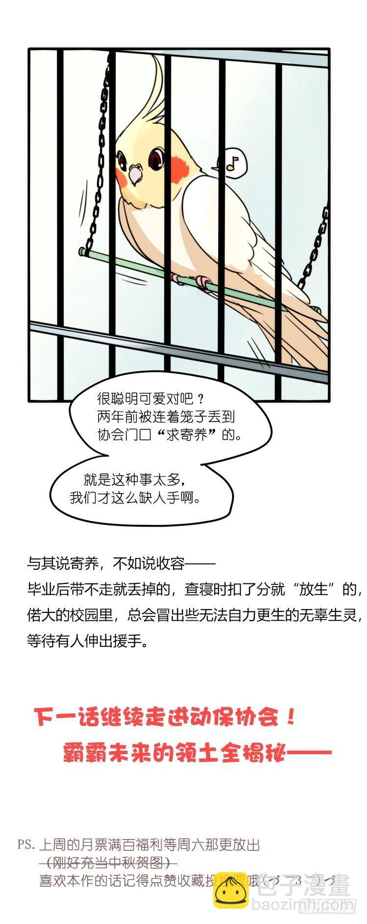 家有鹅霸：加入的理由-第64话