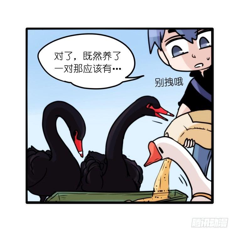家有鹅霸：校方认证彩虹风景线-第66话