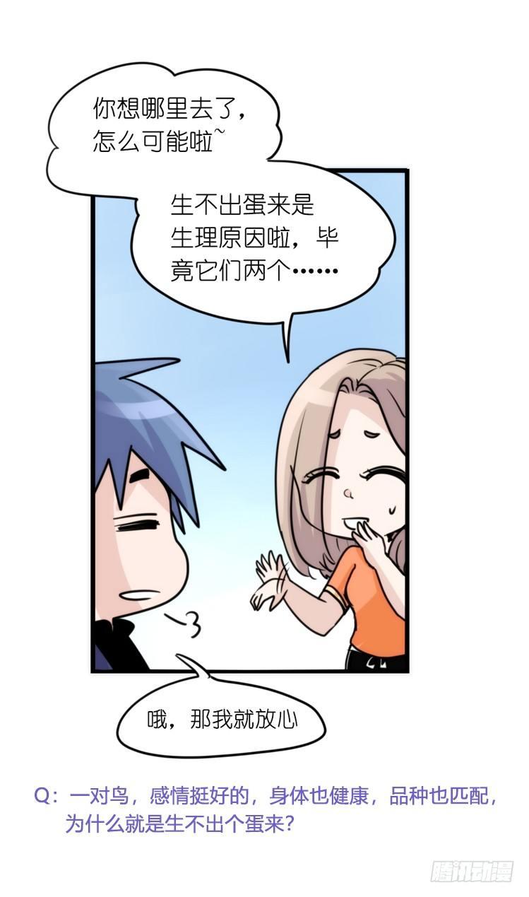 家有鹅霸：校方认证彩虹风景线-第66话
