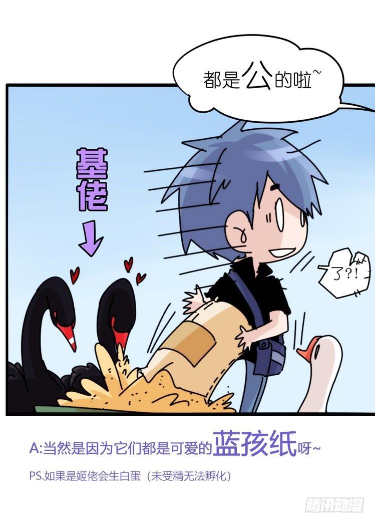 家有鹅霸：校方认证彩虹风景线-第66话