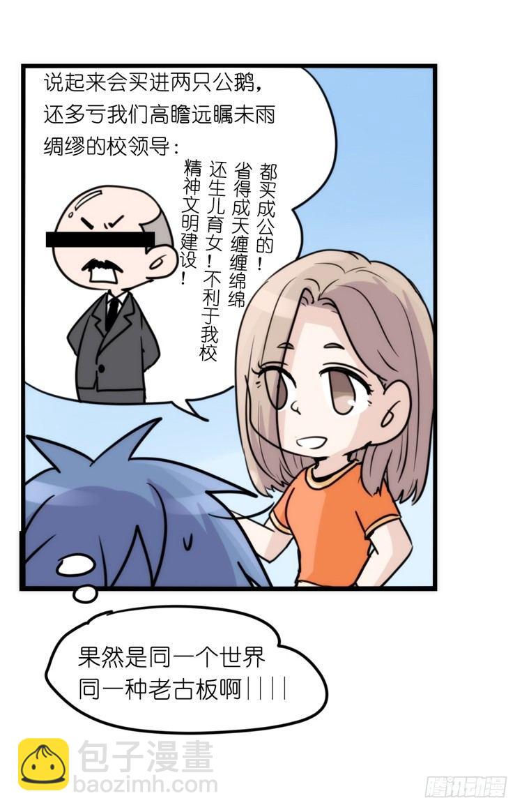 家有鹅霸：校方认证彩虹风景线-第66话