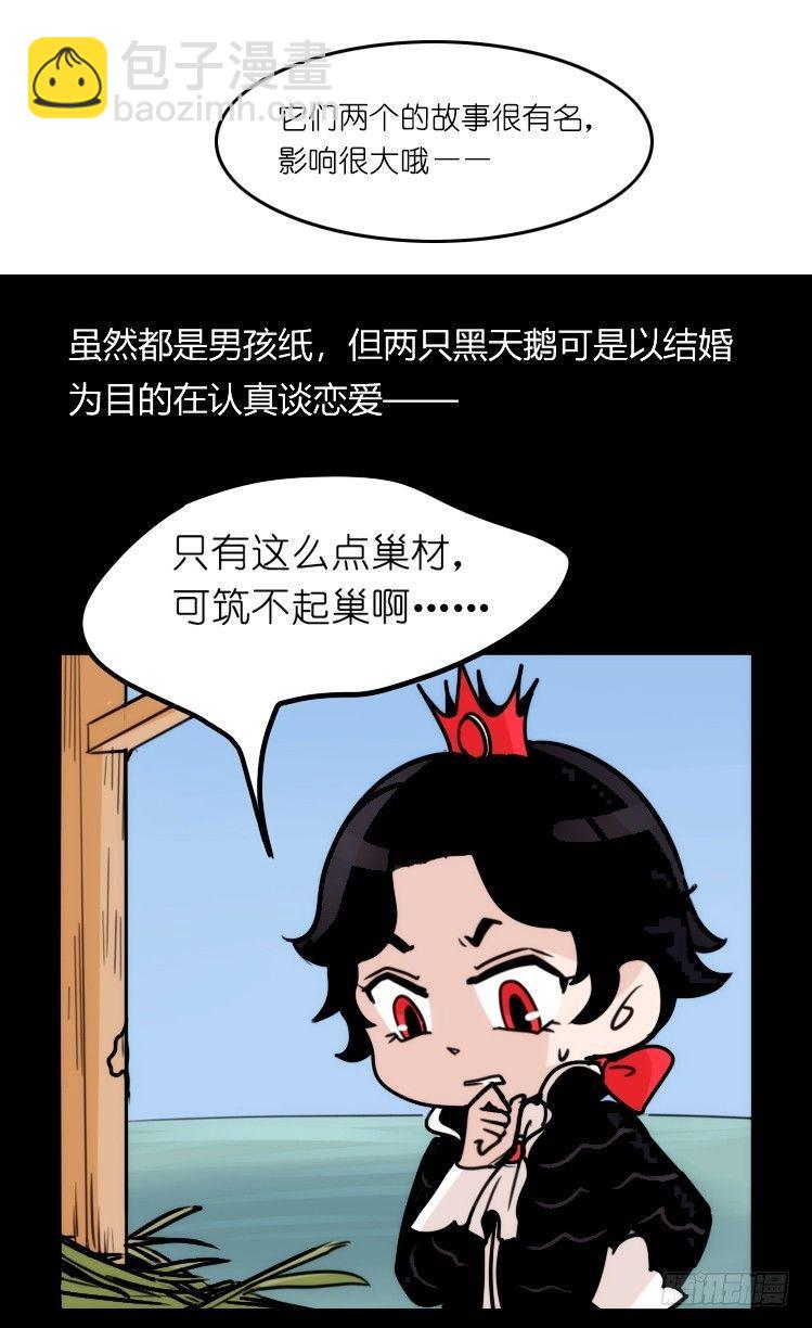 家有鹅霸：校方认证彩虹风景线-第66话