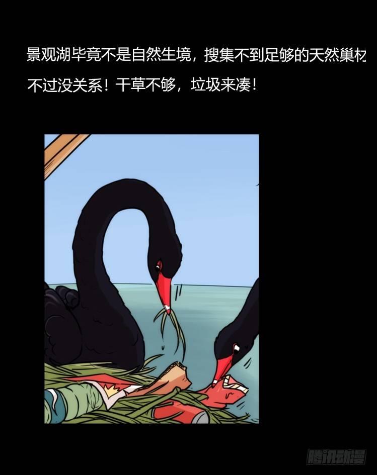 家有鹅霸：校方认证彩虹风景线-第66话