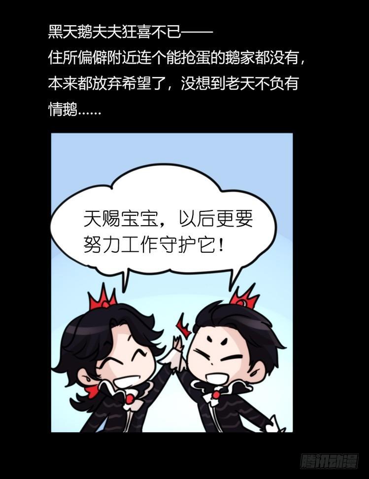 家有鹅霸：校方认证彩虹风景线-第66话