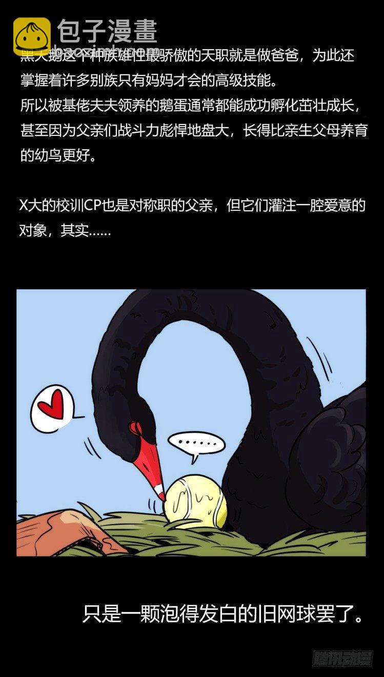 家有鹅霸：校方认证彩虹风景线-第66话