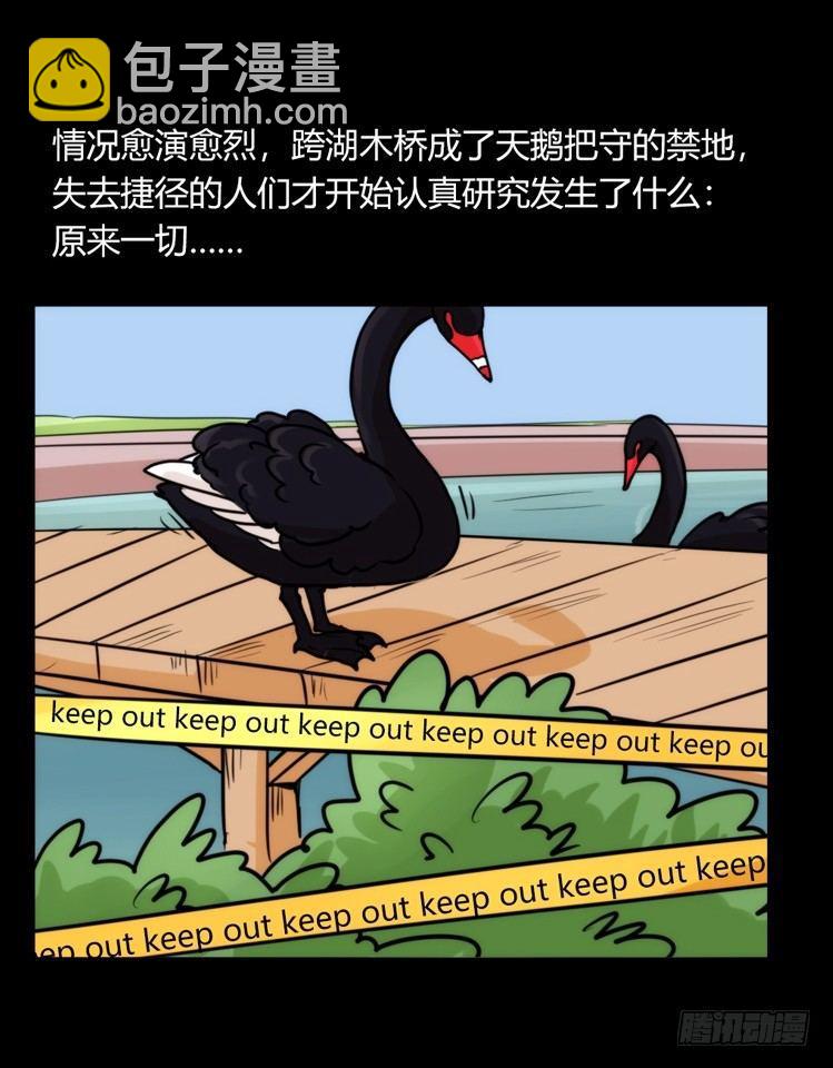 家有鹅霸：校方认证彩虹风景线-第66话