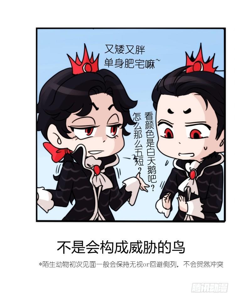 家有鹅霸：校方认证彩虹风景线-第66话