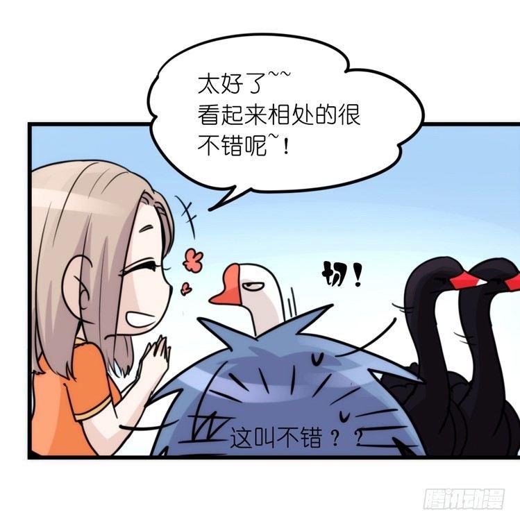 家有鹅霸：校方认证彩虹风景线-第66话