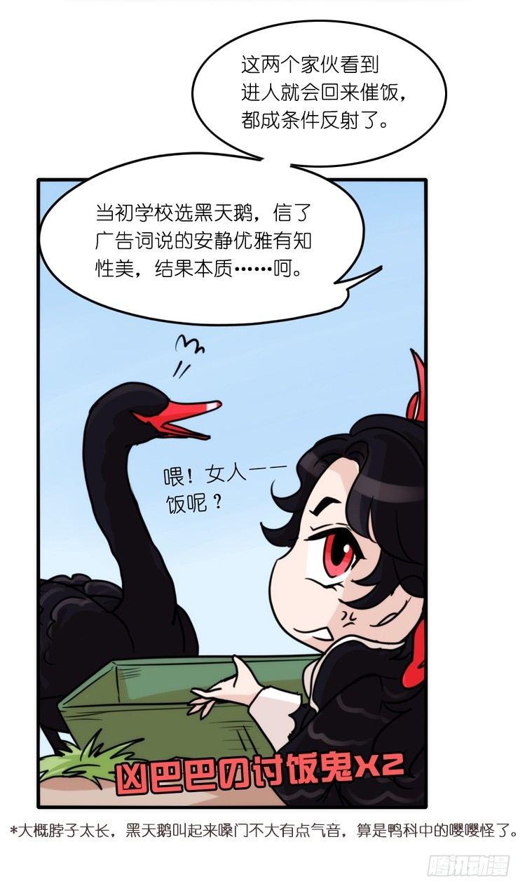 家有鹅霸：校方认证彩虹风景线-第66话