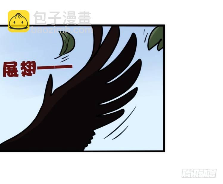 家有鹅霸：霸系鸟类巅峰对决-第68话