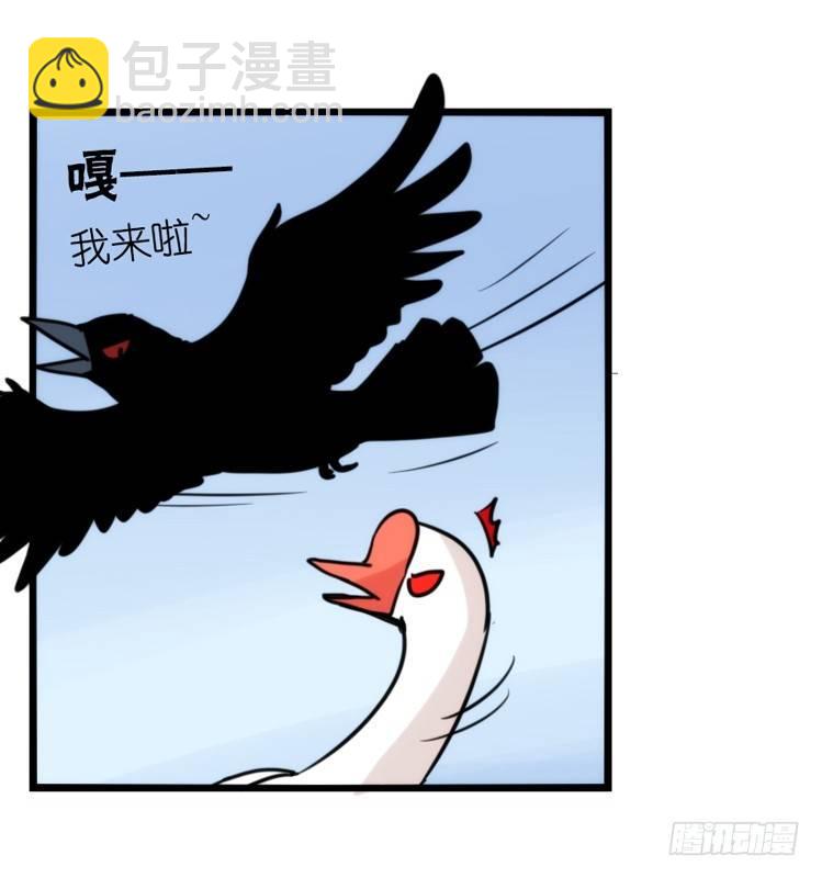家有鹅霸：霸系鸟类巅峰对决-第68话